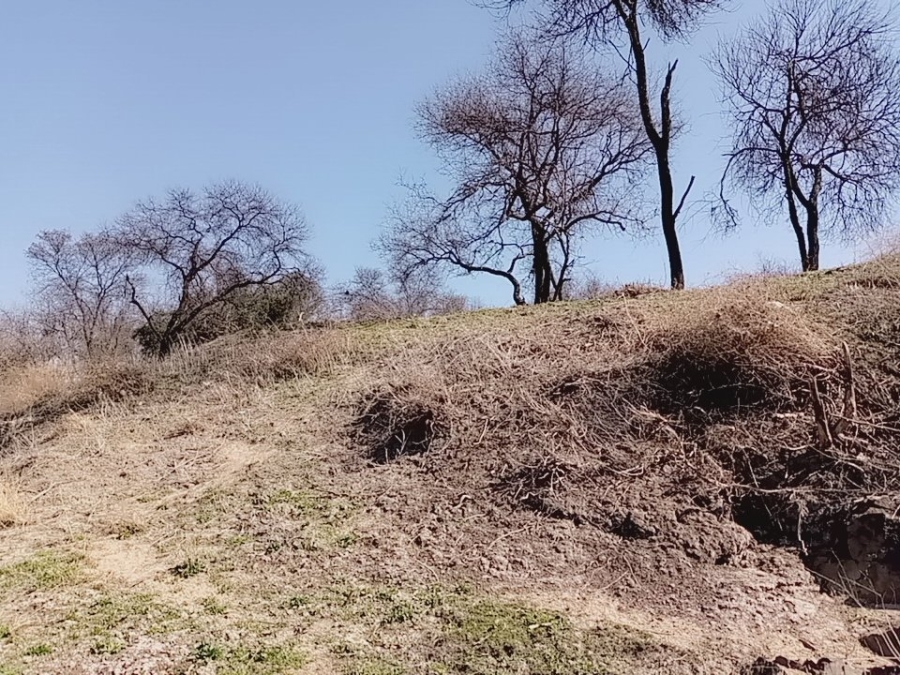 Commercial Property for Sale in Orkney Rural North West